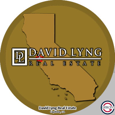 	David-Lyng-Real-Estate	